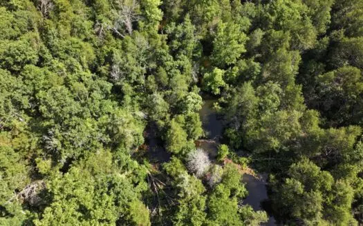 Section A- 40 Secluded Acres in Southern Missouri Ozarks