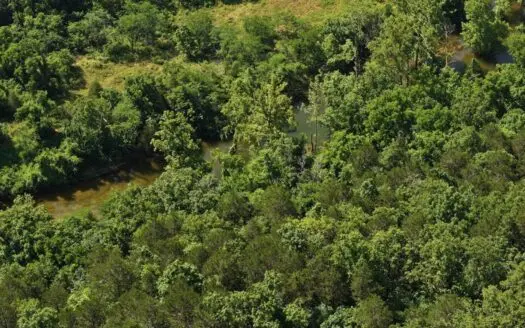 Section A- 40 Secluded Acres in Southern Missouri Ozarks