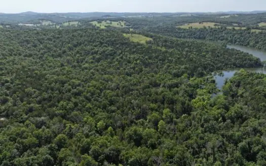 Section B- 40 Acres Parcel in Southern Missouri Ozarks