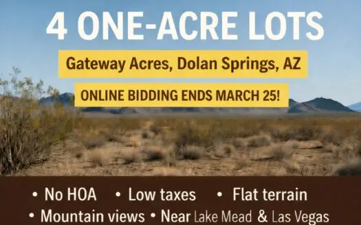 Online Auction: 4 One-Acre Lots in Dolan Springs – Ends March 25
