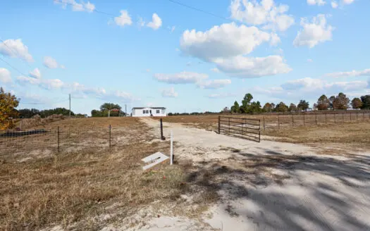 5 Acres In Steeplechase Farm Near The Goethe State Forest, Fl