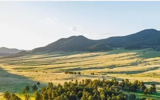 207.10 Acres of Gorgeous Land for Sale in CO!