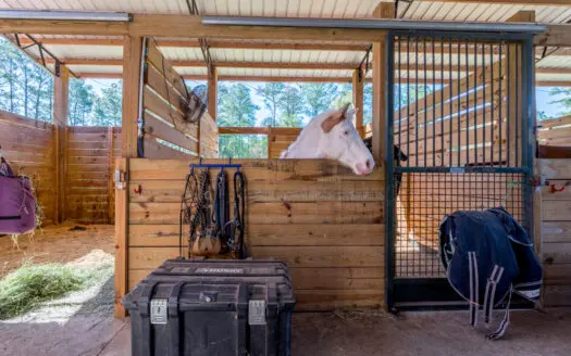 Peaceful 18-Acre Equestrian Estate in Williston, Florida for Sale