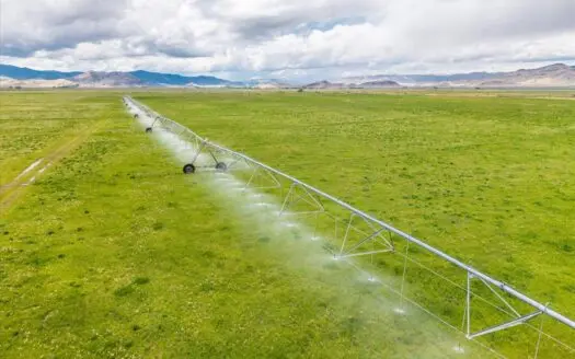 1,280 ± Acre Irrigated Ranch for Sale in CO San Luis Valley