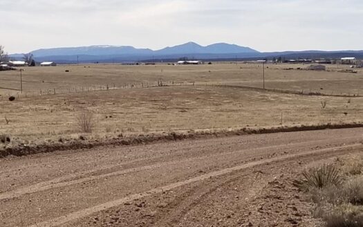 5 Acres in Moriarty – Grazing Land & Country Living