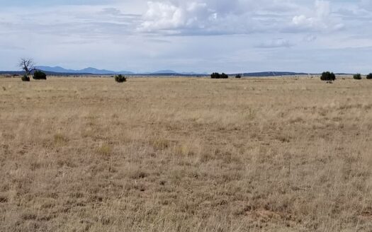 Vacant Land For Sale North of Estancia NM