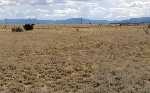 9.97 Acres in Estancia Valley – Mountain Views & Space