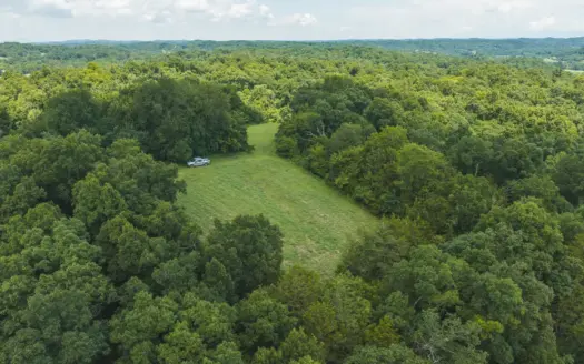 RARE EAST TENNESSEE LAND AUCTION: The Farm, The Hunt, Greene Co