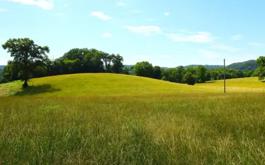 7 Ac, Homesites on Hilltop, Horse-Fenced Pastures, Hunting Remote