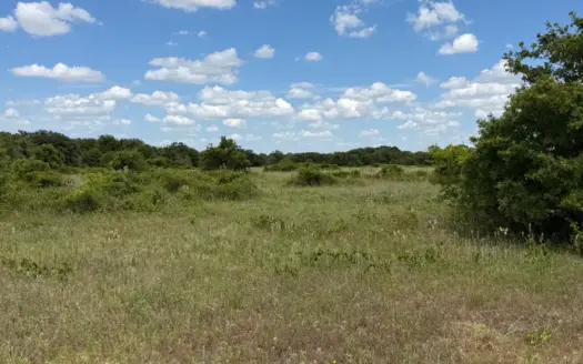 20 Acres in Rising Star TX with Pasture, Woods and Water Well