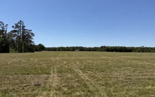 Land For Sale In Tn, Open Land, 2.1 Acre±, Great Location