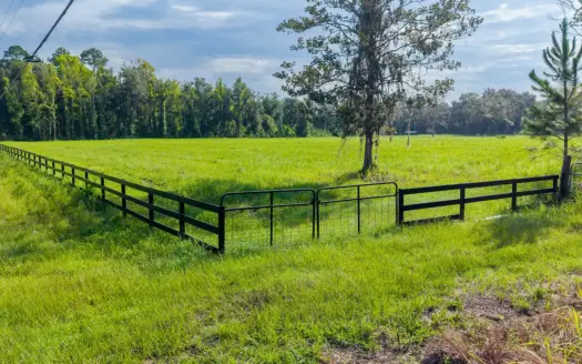 6+ Acres Zoned Ag In Hawthorne, Florida
