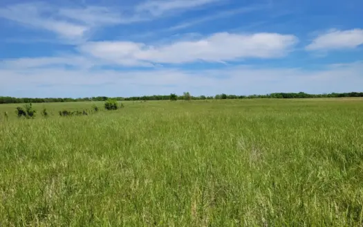 30± Acres Open Land w/ Pond Clarksville TX