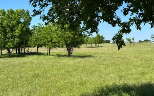 1 Acre Land for Sale in Sanger TX City Water Available
