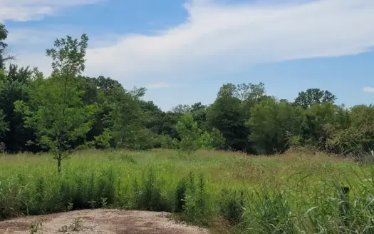 11.199 Acres for Sale Near Clarksville TX with Pond