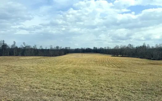 45+/- Acres – Unrestricted Land – Building Sites – Liberty, KY.