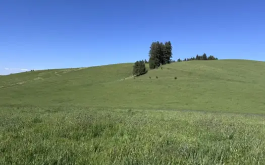Acreage for Sale in Woodland Region of Kamiah, ID