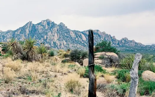 38.8+ acre lot in Saint David AZ
