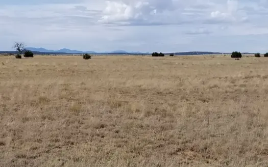 Vacant Land For Sale North of Estancia NM