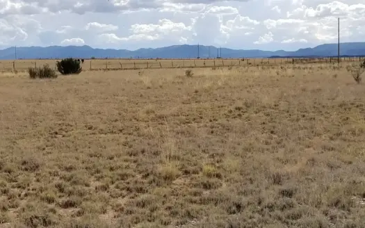 9.97 Acres in Estancia Valley – Mountain Views & Space
