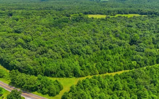 20± Acres near Cabool, MO with Pond and Electric