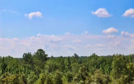 Rolling Sandhills Land Near State Forest & Recreation, Patrick SC