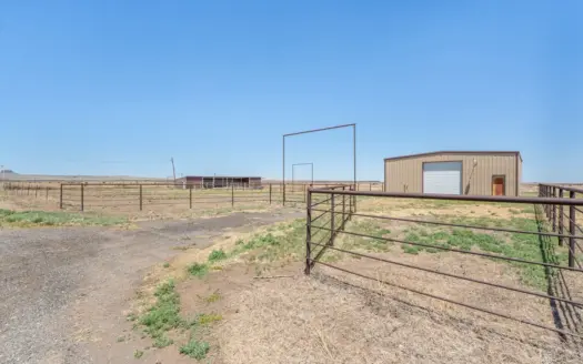 Shop, Livestock Pens and Land for Sale in Clayton, NM