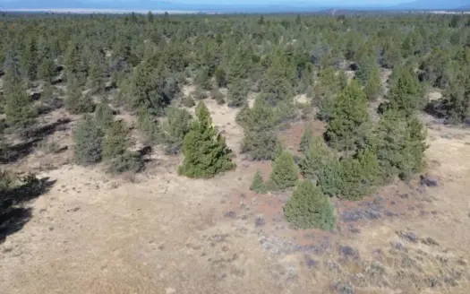 Large Wooded Acreage with Open Views Mountains Lassen County, CA