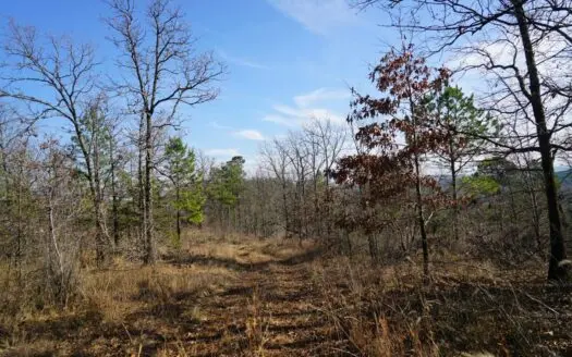 Southeastern Oklahoma Cabin Site Near National Forest