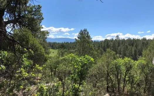 Golf Course Lot for Sale, Ridgway Co, Skiing, Fishing,biking