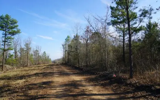 Southeastern Oklahoma Cabin Site Near National Forest
