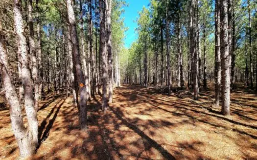 Secluded 5.13 Acre Parcel in Jackson County Wi