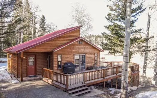 Mountain Cabin in Cimarron Colorado for Sale