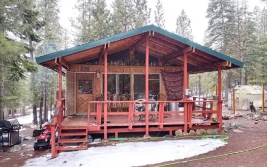 Cabin in the Woods, Forest Getaway, Private Well