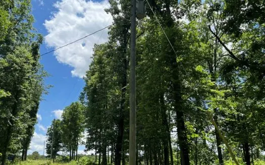 Wooded Acres for Sale in Van Buren County Arkansas