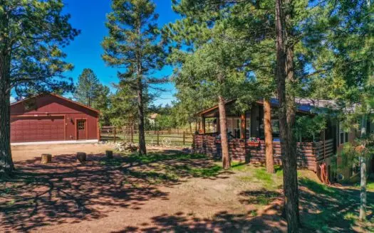 Beautiful Rustic Colorado Mountain Home with Lots Of Trees