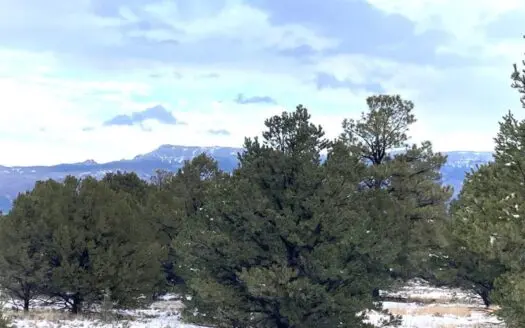 Lot for Sale, Easy Access Town, Log Hill, Ridgway, Colorado