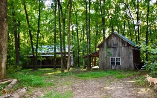 Historic Cabin in Southern Indiana for Sale