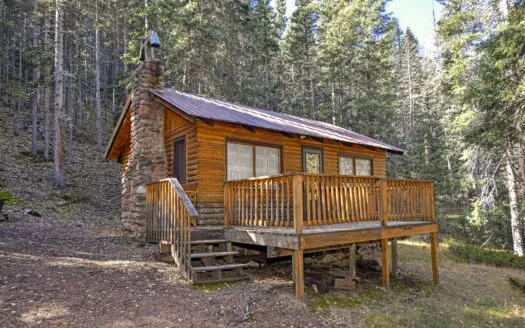 Rare National Forest Cabin for Sale in Teller County