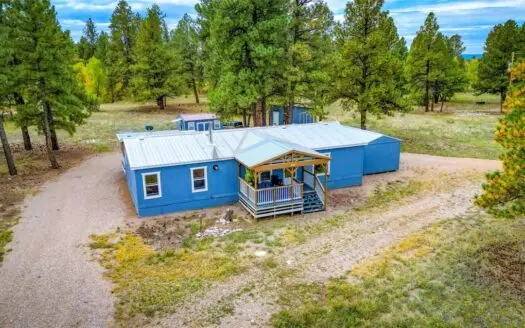 Brazos Mountain Home near Chama New Mexico