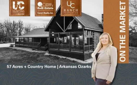 Custom Built Log Cabin and 57 Wooded Acres in Thayer MO