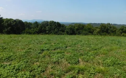Newton County Pasture Hunting Land 361 Acres For Sale