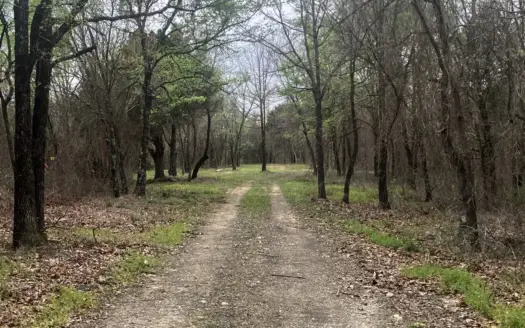 Introducing Ridgeview Estates Phase 2 Hilltop Lots