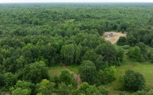 40+/- Acres with Hunting Cabin – Town of Finley, Juneau County