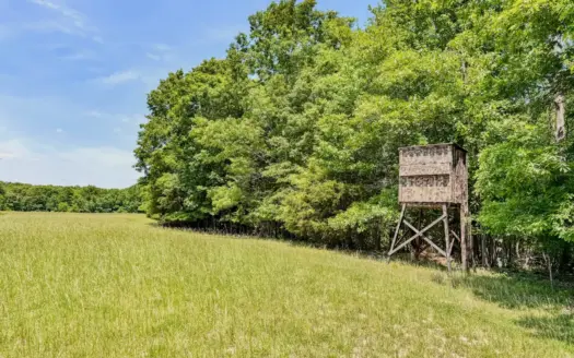 262.39 Acres Premier Hunting & Recreational Land, Bldg Sites!