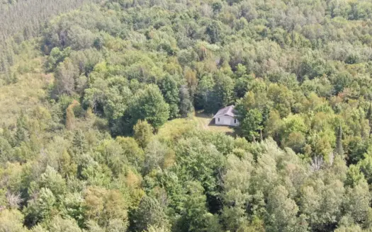 37.5± Acres with Off-Grid Cabin – Taylor County, Wisconsin