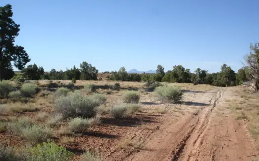 Canyon Edge 17.73 Acres With Tiny Home, 2 Sheds & Container