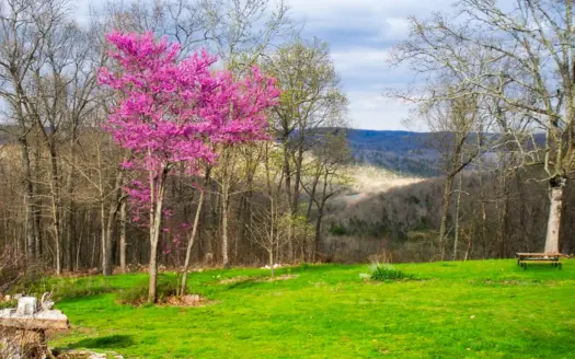 Scenic  Ozarks Income Producing  Retreat For Sale