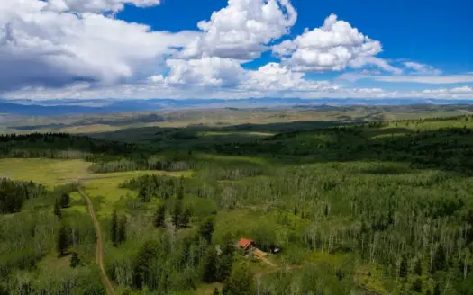 Image ID 81892ba7-085c-4503-87a5-dfc7ddf4ff23.webp uploaded 2026-09-15 20:24:33