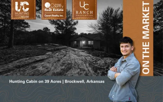 Cabin on 39 Acres in the Ozarks | Brockwell, Arkansas